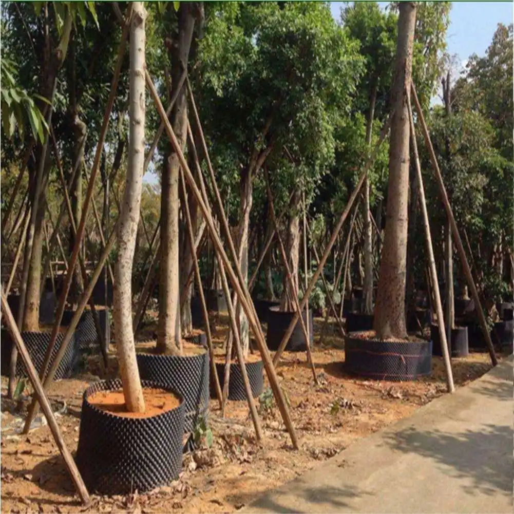 Choice Air Pruning Root Nursery Pots Trainer for Growth