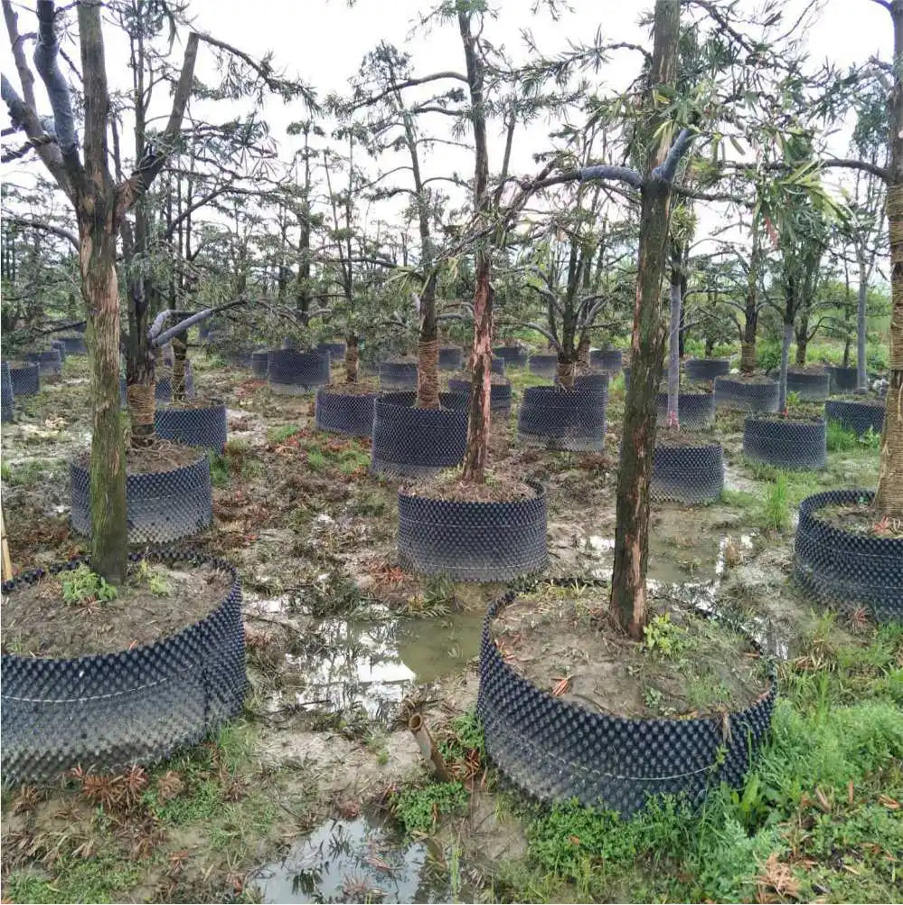 Choice Air Pruning Root Nursery Pots Trainer for Growth