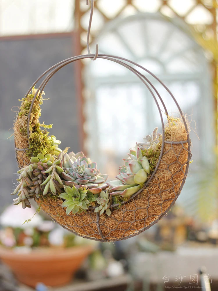 Rustic Iron Wire Wreath Frame for Succulent Hanging Planter
