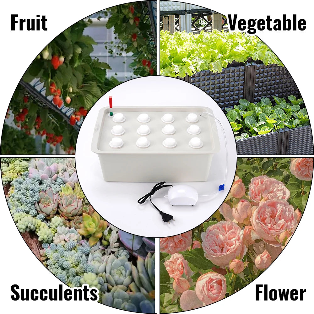 Hydroponic Grow Kit for Easy Vegetable Gardening and Cultivation
