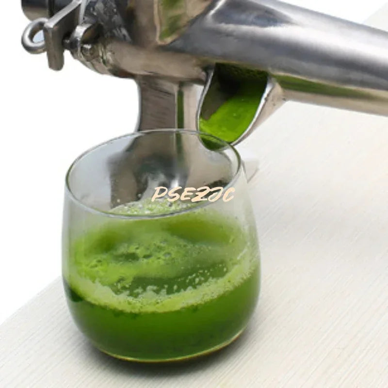 Stainless Steel Manual Juicer For Fresh Fruits And Greens