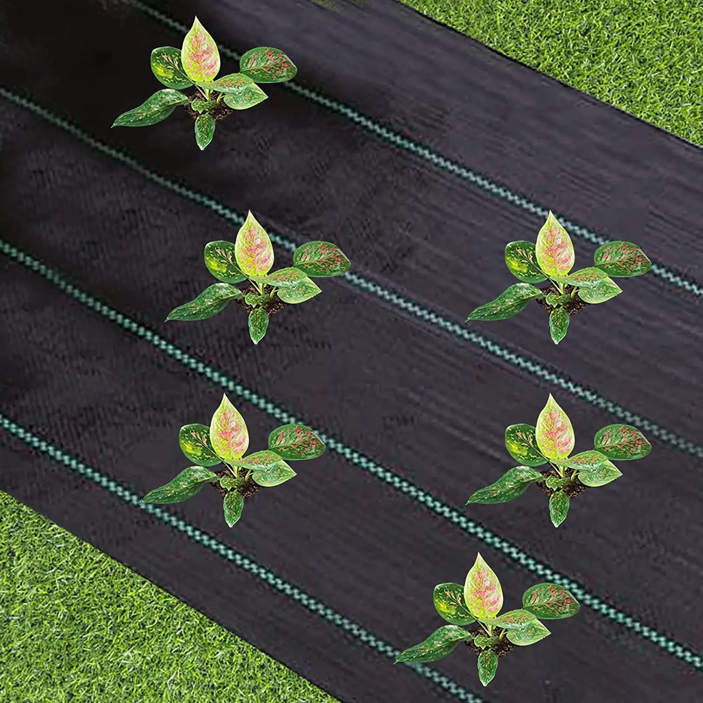 Weed Barrier Fabric Heavy Duty Woven Weed Control Fabric Non Slip Outdoor Rubber Floor Mats Polyethylene Ground Cover