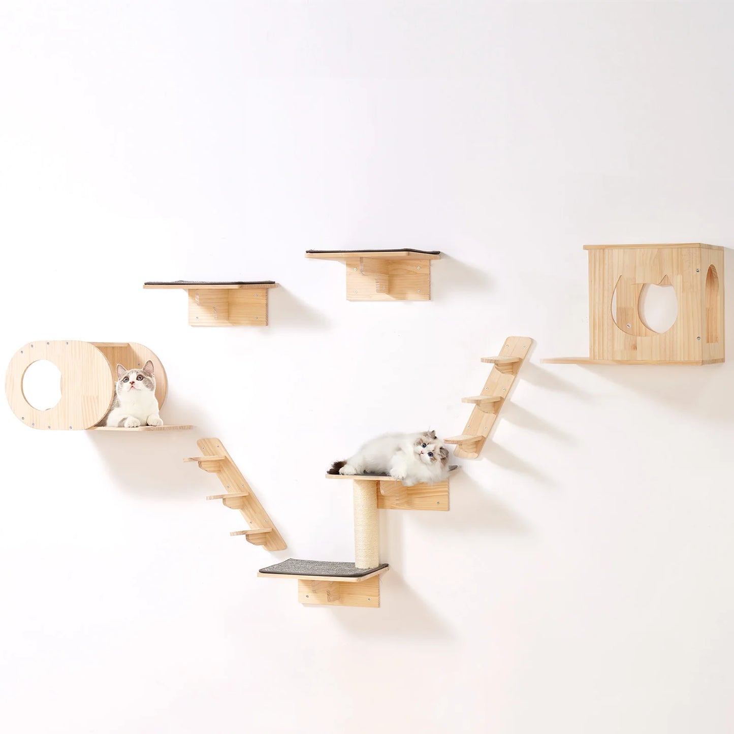 Wall Mounted Cat Shelves With Jumping Boards And Hammocks