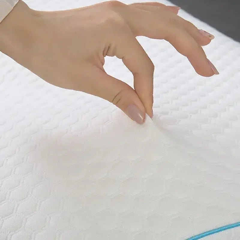 Guangdong Orthopedic Memory Sponge Cervical Pillow Lite