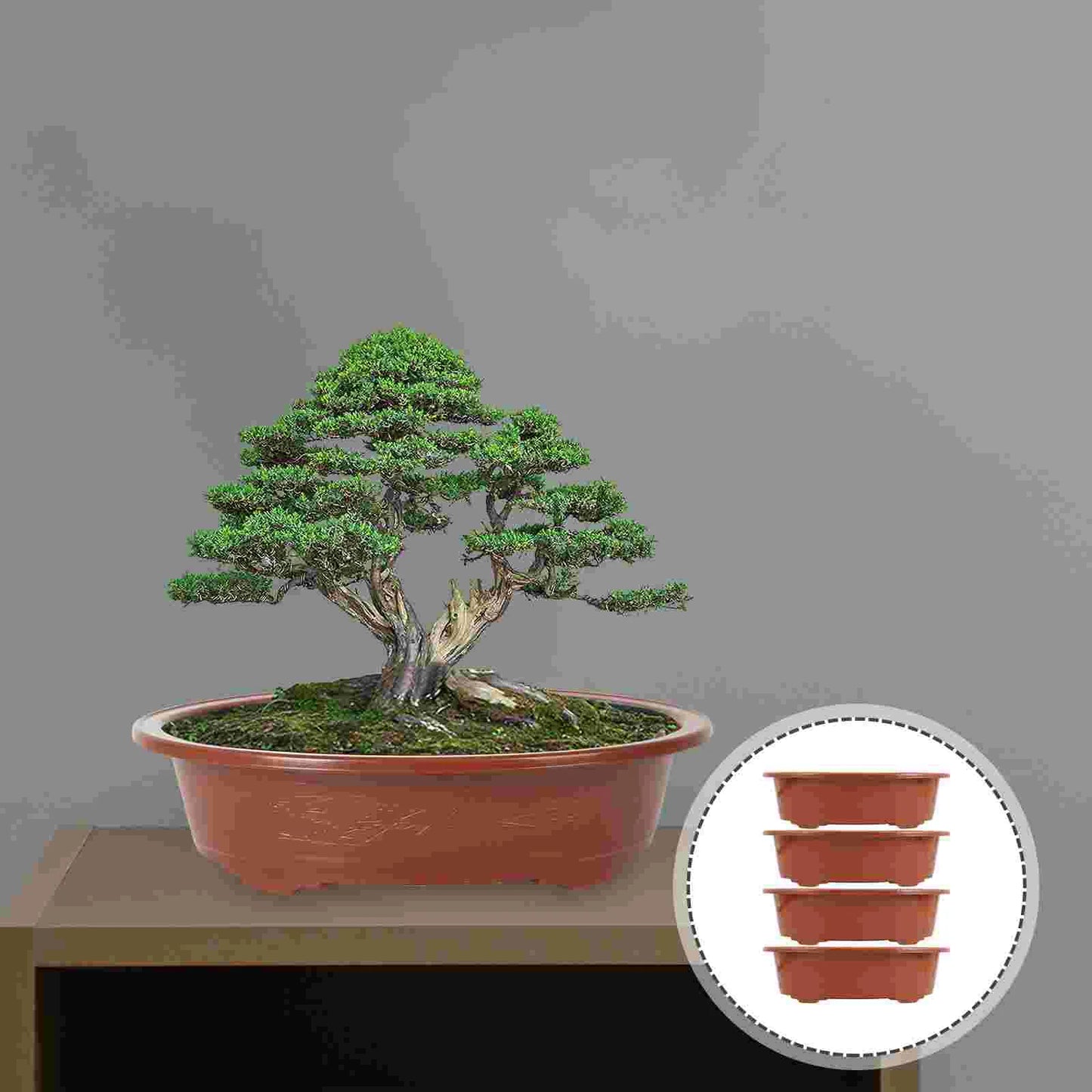 Thickened Flower Pot Set for Indoor Plants and Succulents