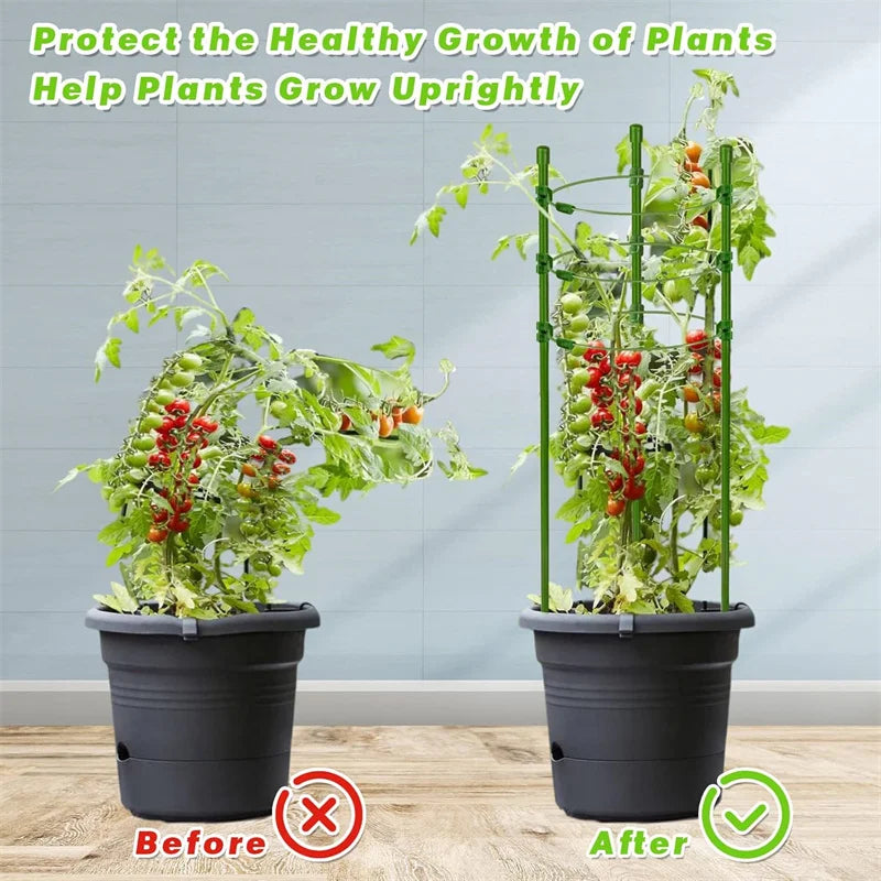 Choice Durable Climbing Vine Rack Plant Support Frame