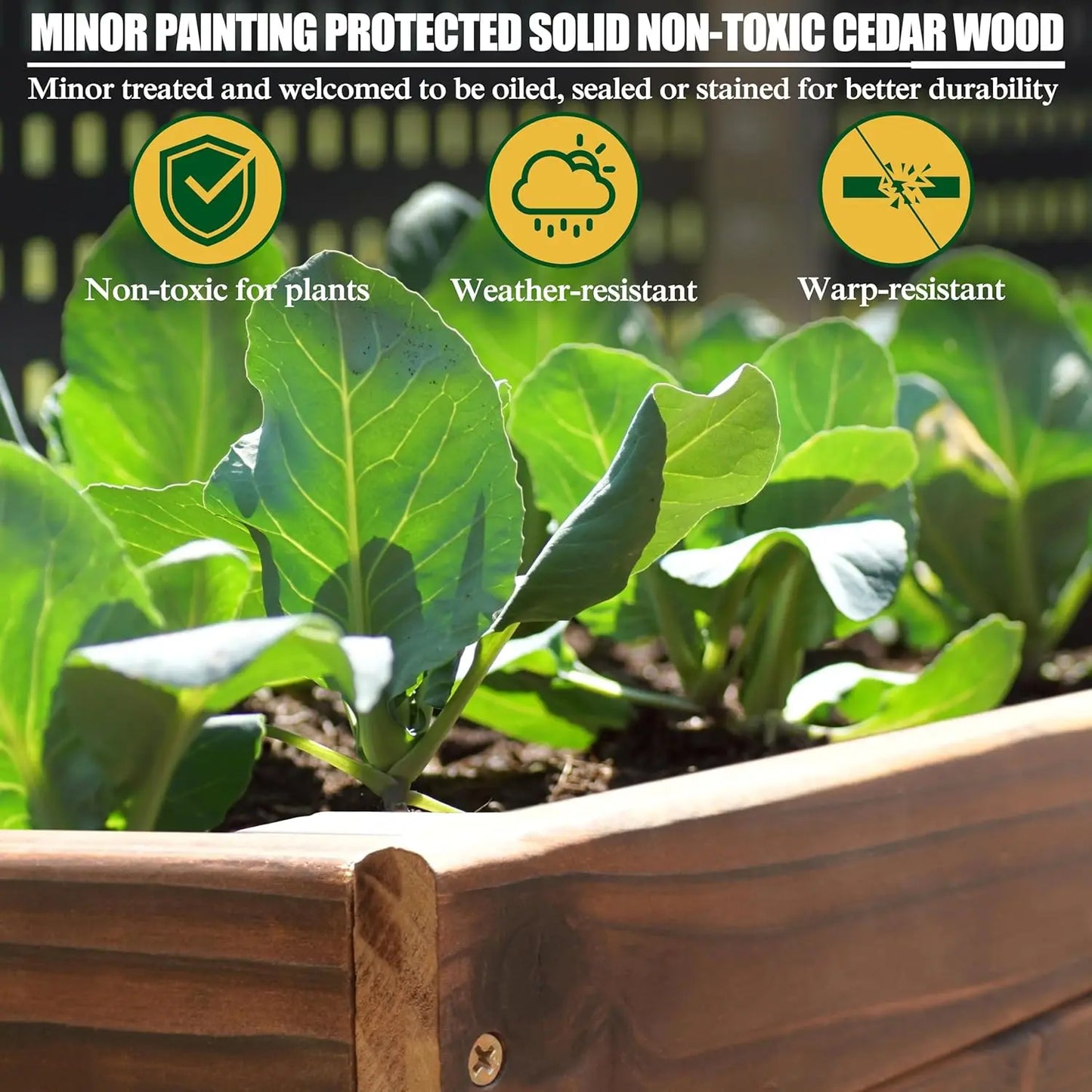 Cedar Raised Garden Bed with Detachable Liner for Vegetables