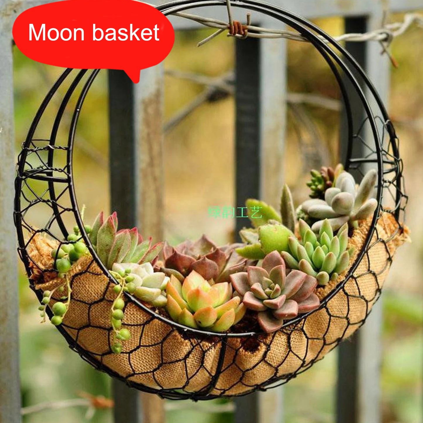 Rustic Iron Wire Wreath Frame for Succulent Hanging Planter