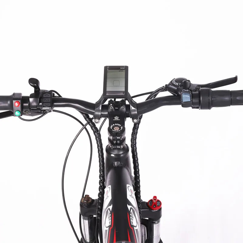 Fat Tire Electric Bicycle 1000W 48V 17Ah Mountain Bike