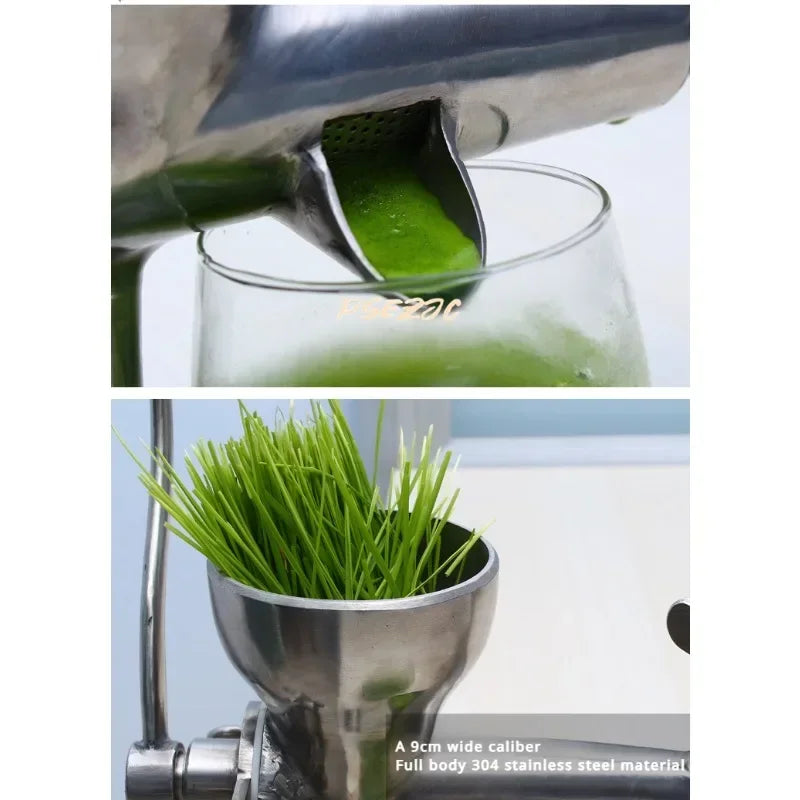 Stainless Steel Manual Juicer For Fresh Fruits And Greens