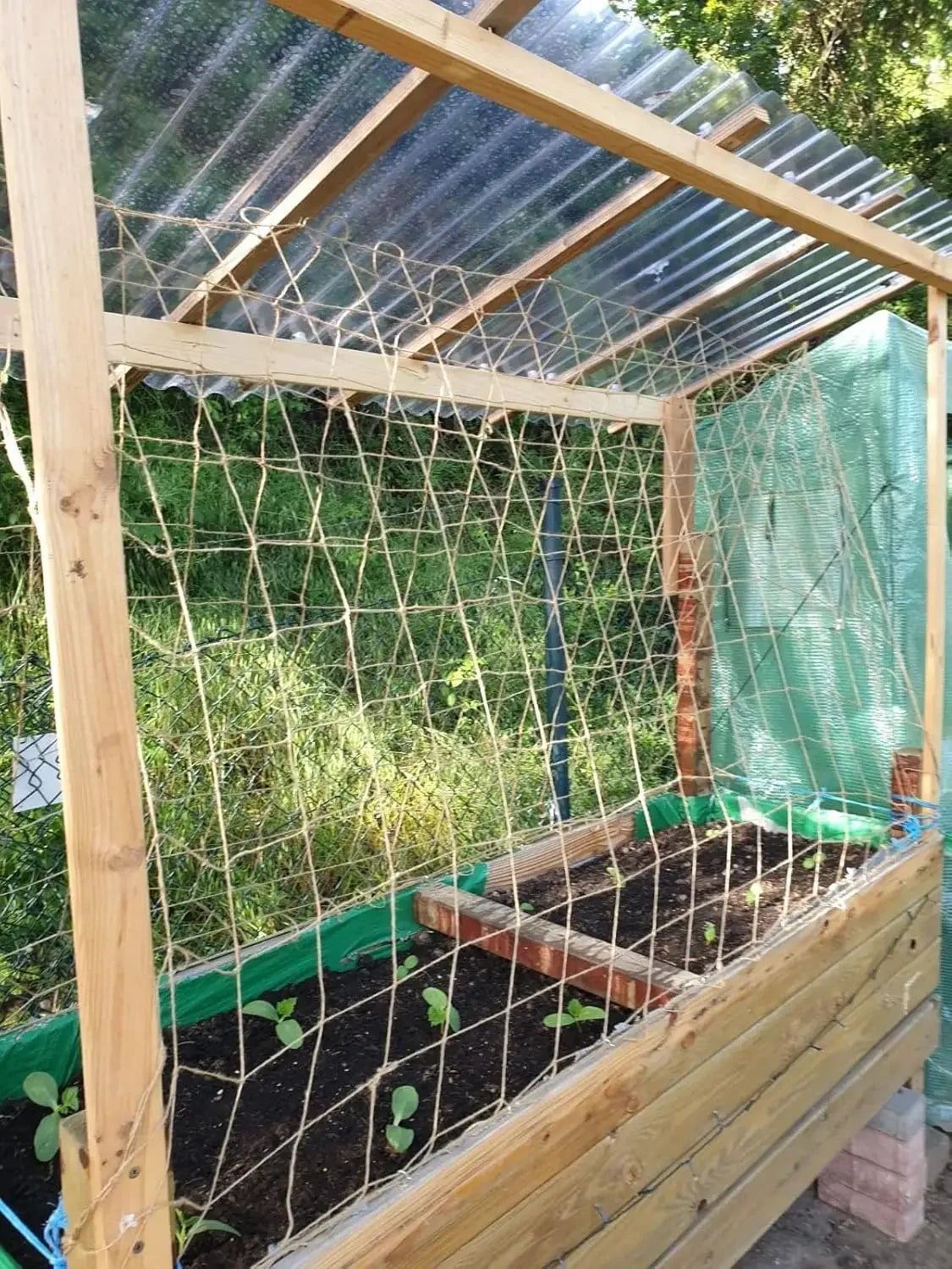 Biodegradable Jute Netting for Climbing Garden Plants