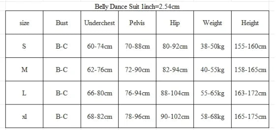 Dancer's Vitality Belly Dance 2pc AB Stones Tassel Bra Skirt Set