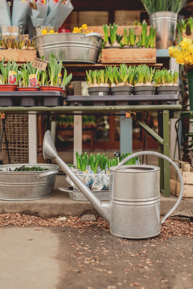 Cultivating a Greener Space: Essential Tools and Supplies for  Successful Gardening