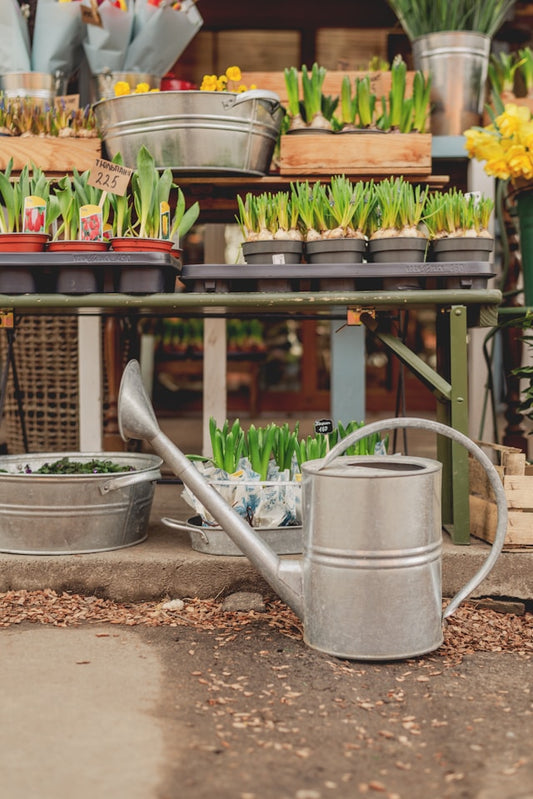 Cultivating a Greener Space: Essential Tools and Supplies for  Successful Gardening