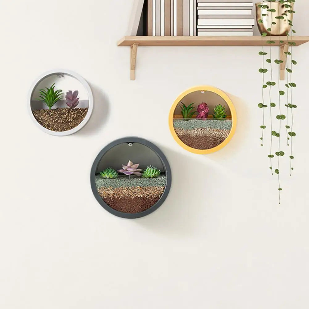 Choice Round Succulent Planter Wall Hanging Hydroponic