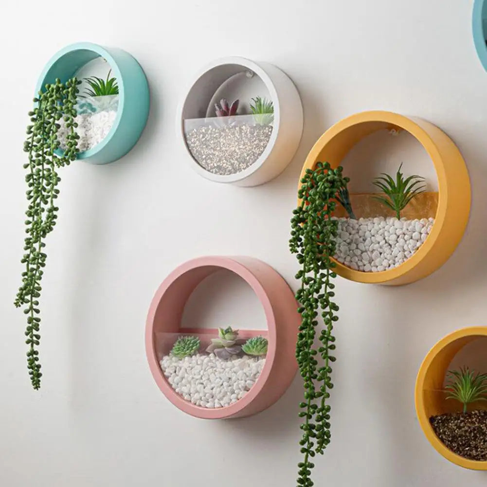 Choice Round Succulent Planter Wall Hanging Hydroponic