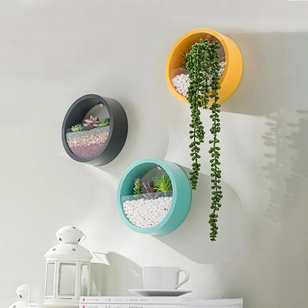 Choice Round Succulent Planter Wall Hanging Hydroponic