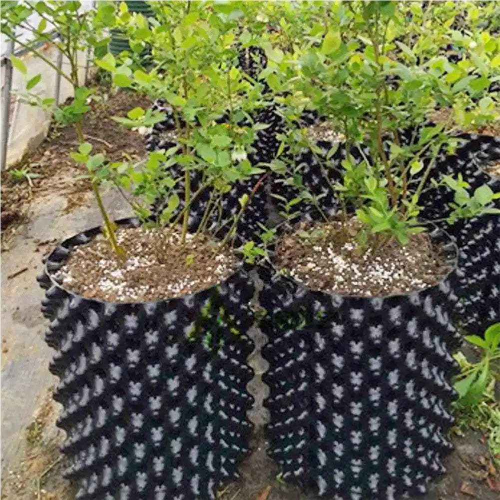 Choice Air Pruning Root Nursery Pots Trainer for Growth
