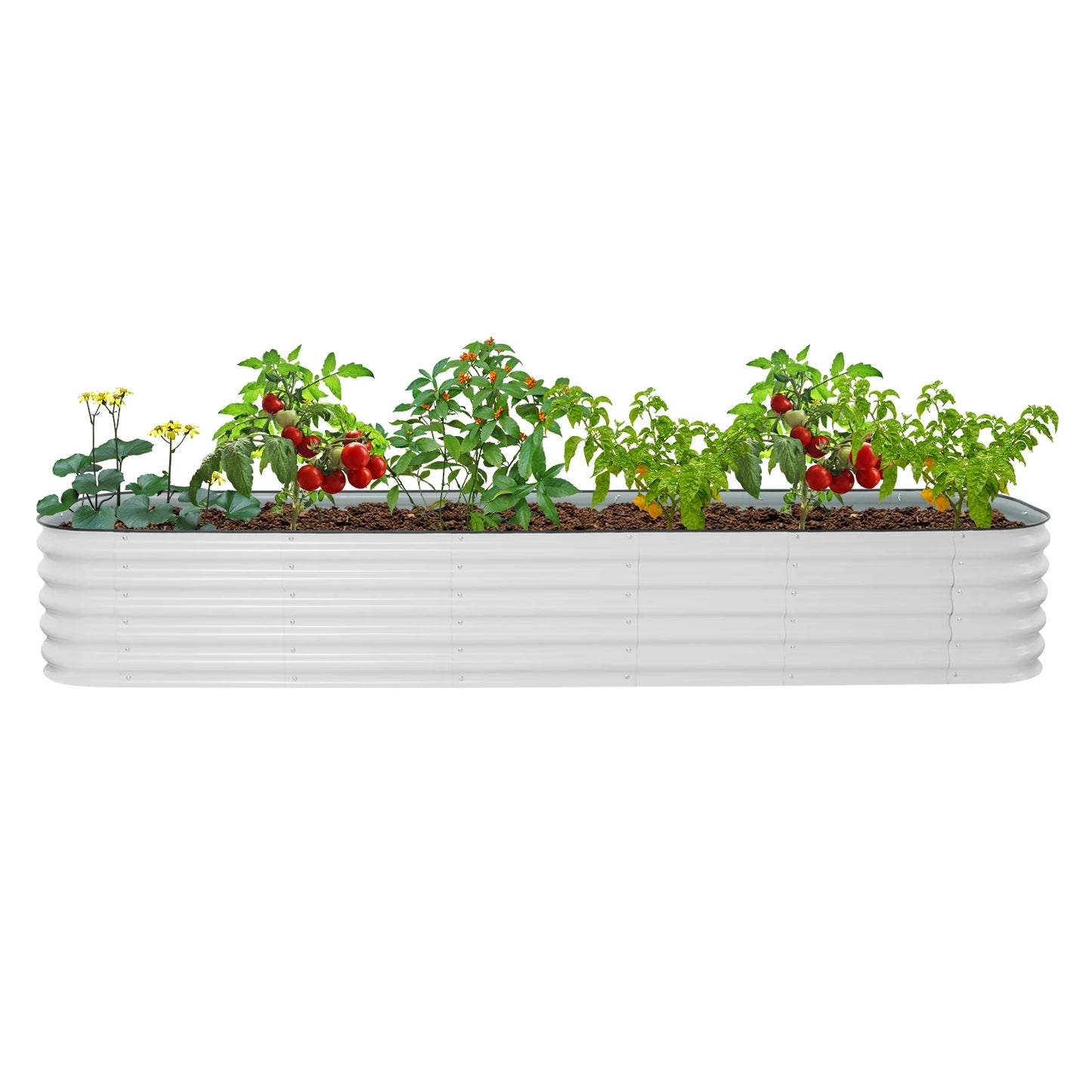 Raised Garden Bed Planter Box for Vegetables and Flowers in Premium Quality Steel
