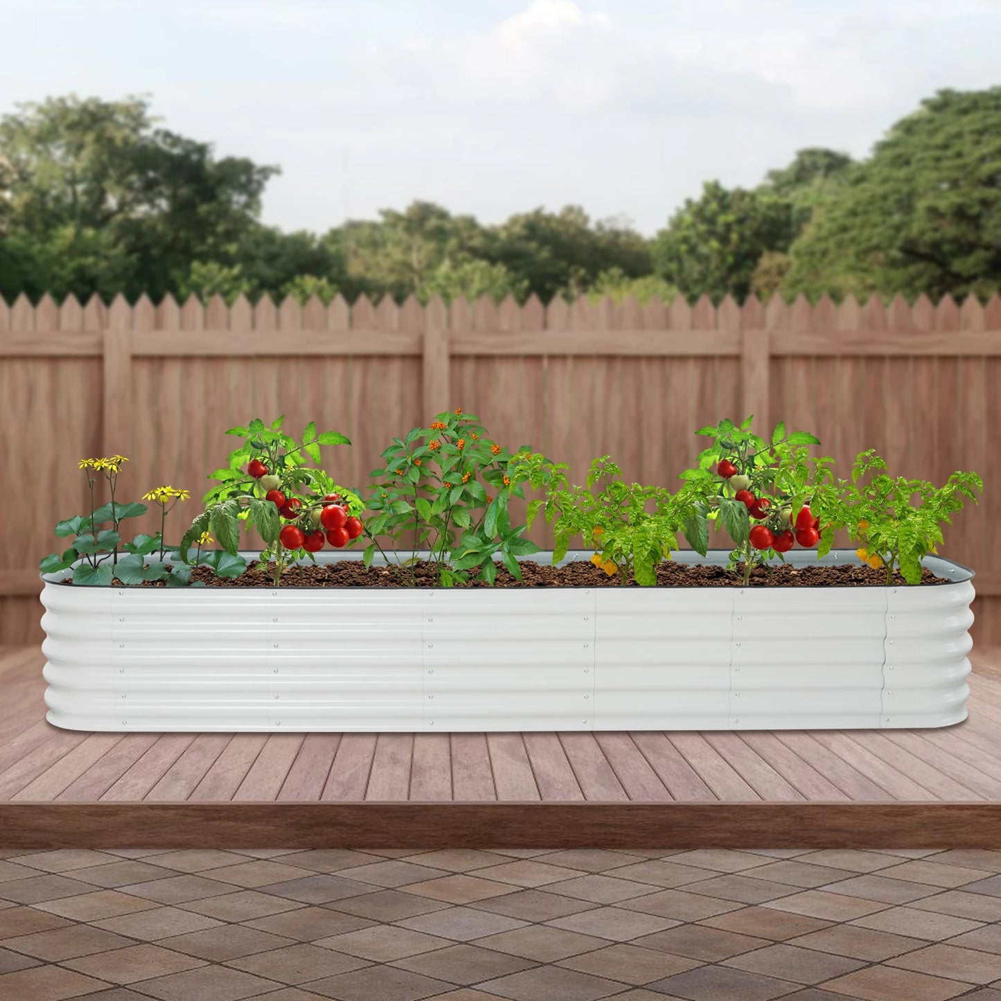 Raised Garden Bed Planter Box for Vegetables and Flowers in Premium Quality Steel
