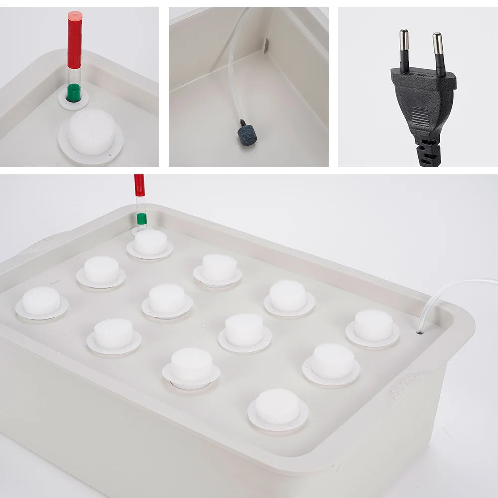 Hydroponic Grow Kit for Easy Vegetable Gardening and Cultivation