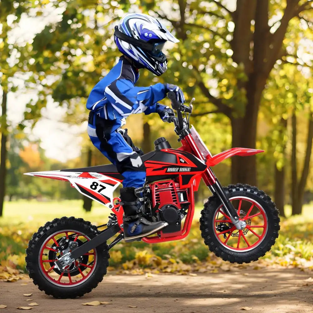 49cc 4 Stroke Pocket Motorbike Toy With Disc Brakes