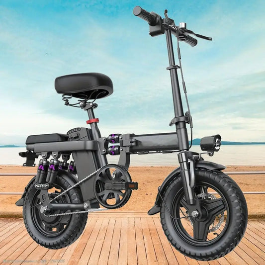 Origin Electric Folding Ebike 48V 20Ah 500W Brushless Motor