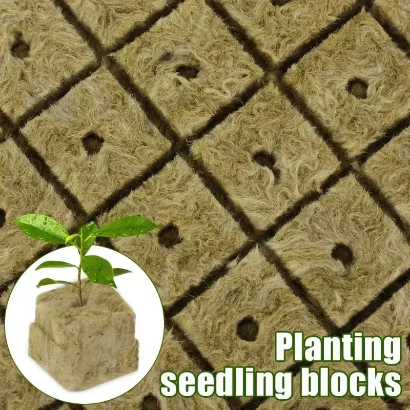 Sponge Block Hydroponic Grow Cubes for Plant Propagation