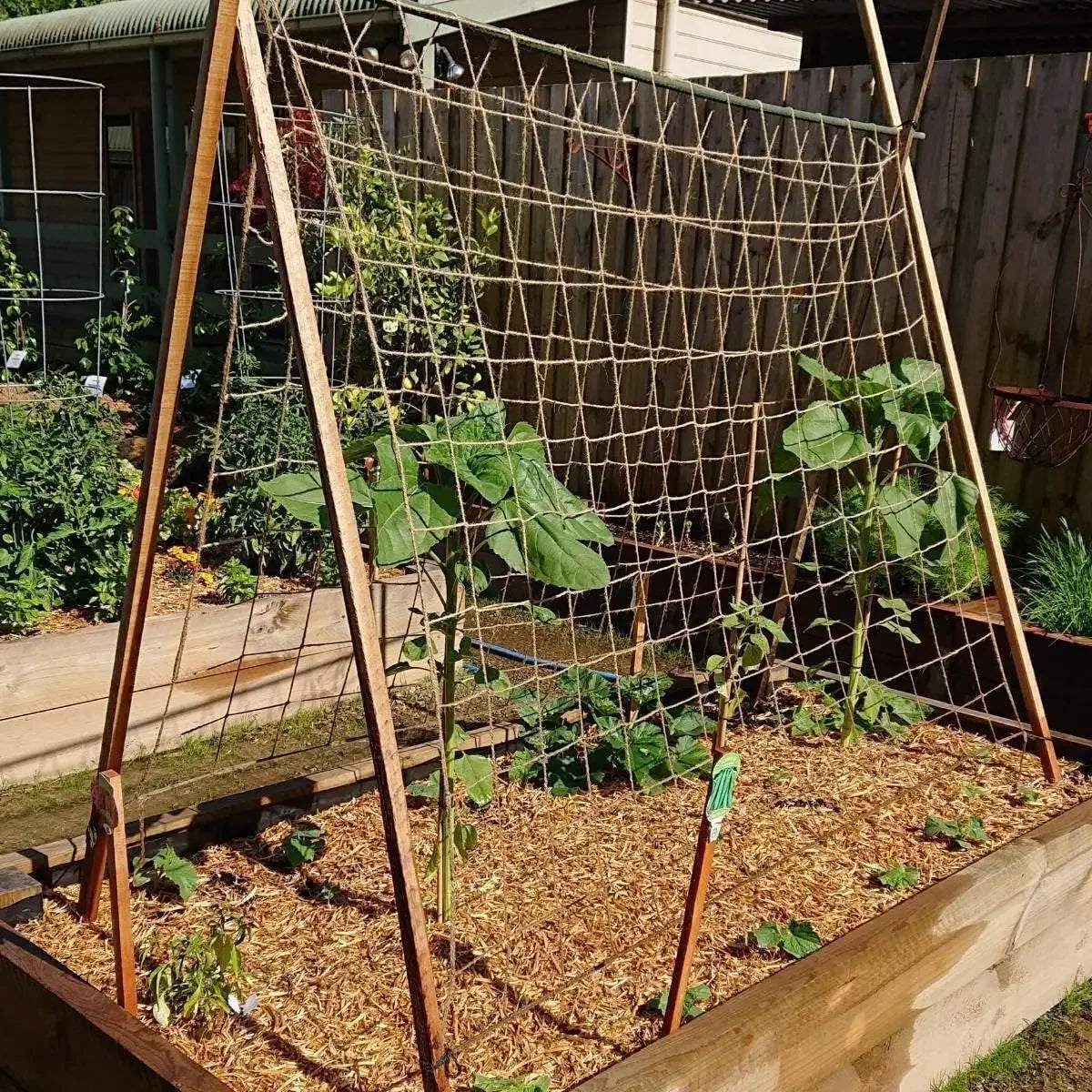 Biodegradable Jute Netting for Climbing Garden Plants