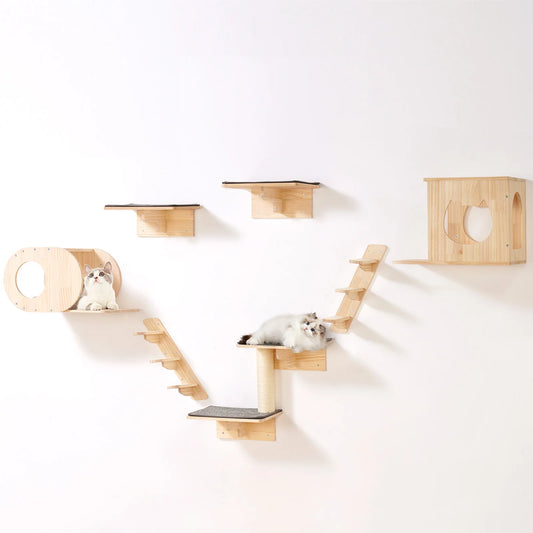 Wall Mounted Cat Shelves With Jumping Boards And Hammocks
