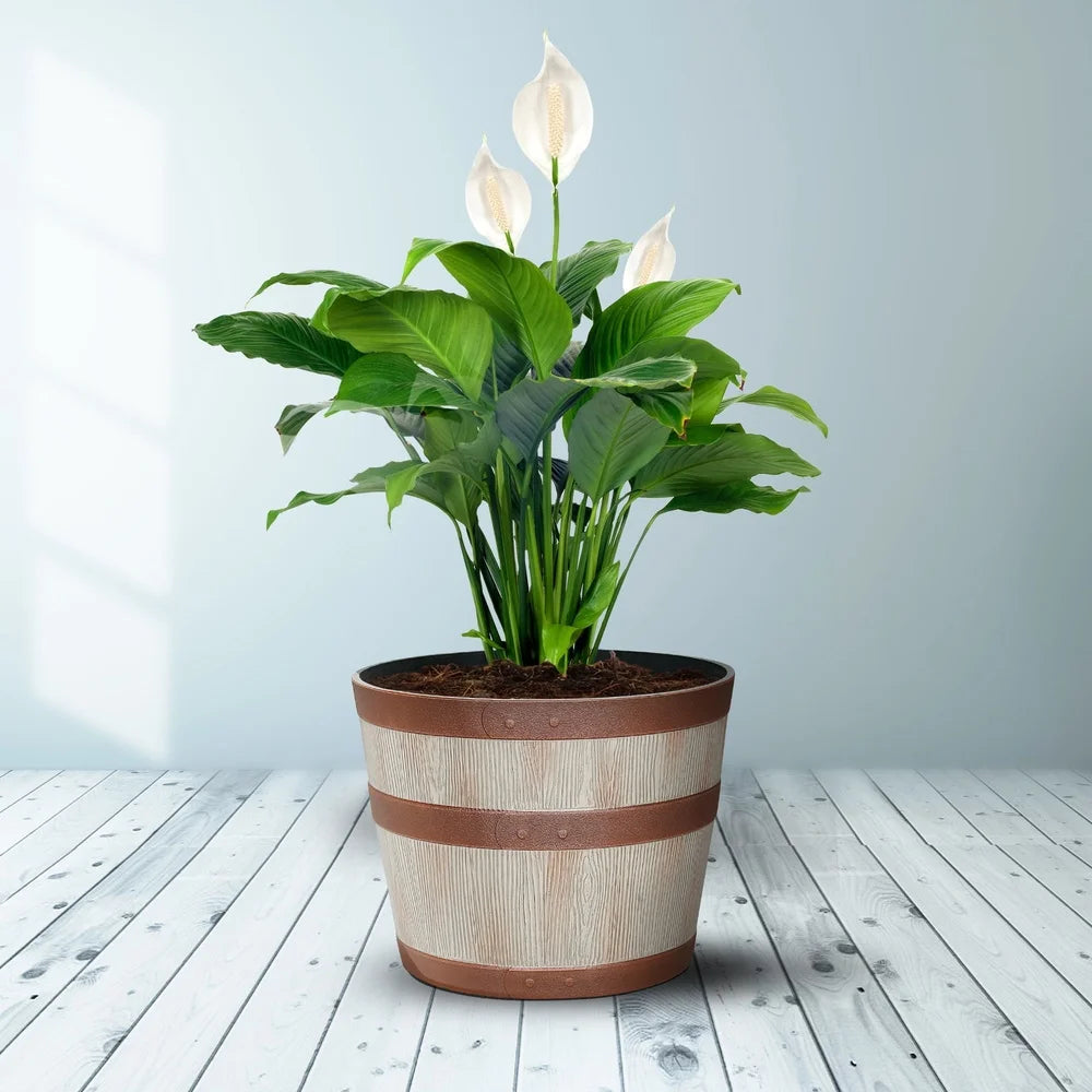 Whiskey Barrel Resin Planter for Indoor and Outdoor Use