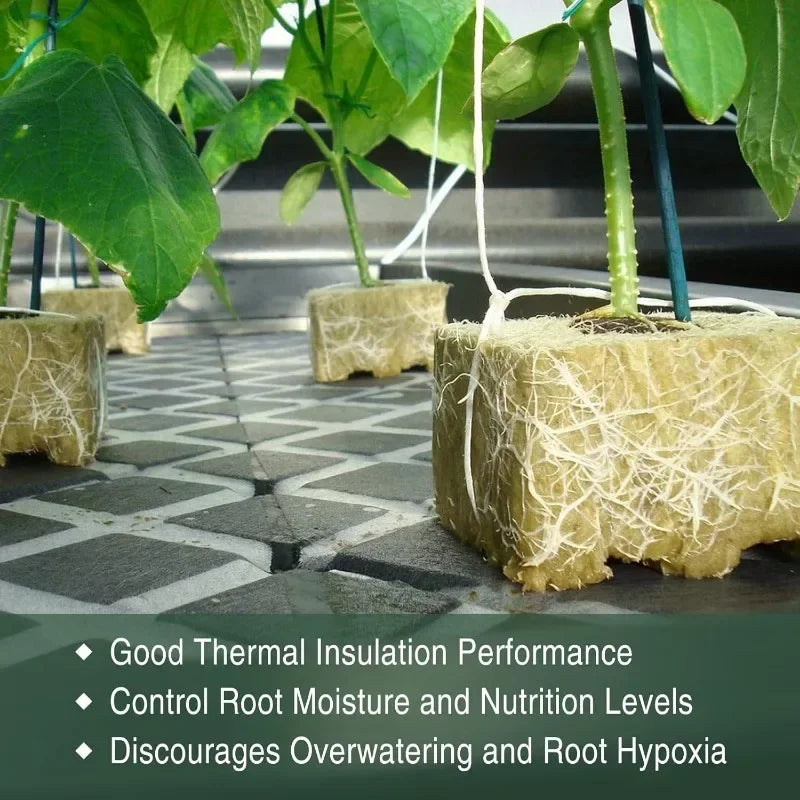 Sponge Block Hydroponic Grow Cubes for Plant Propagation