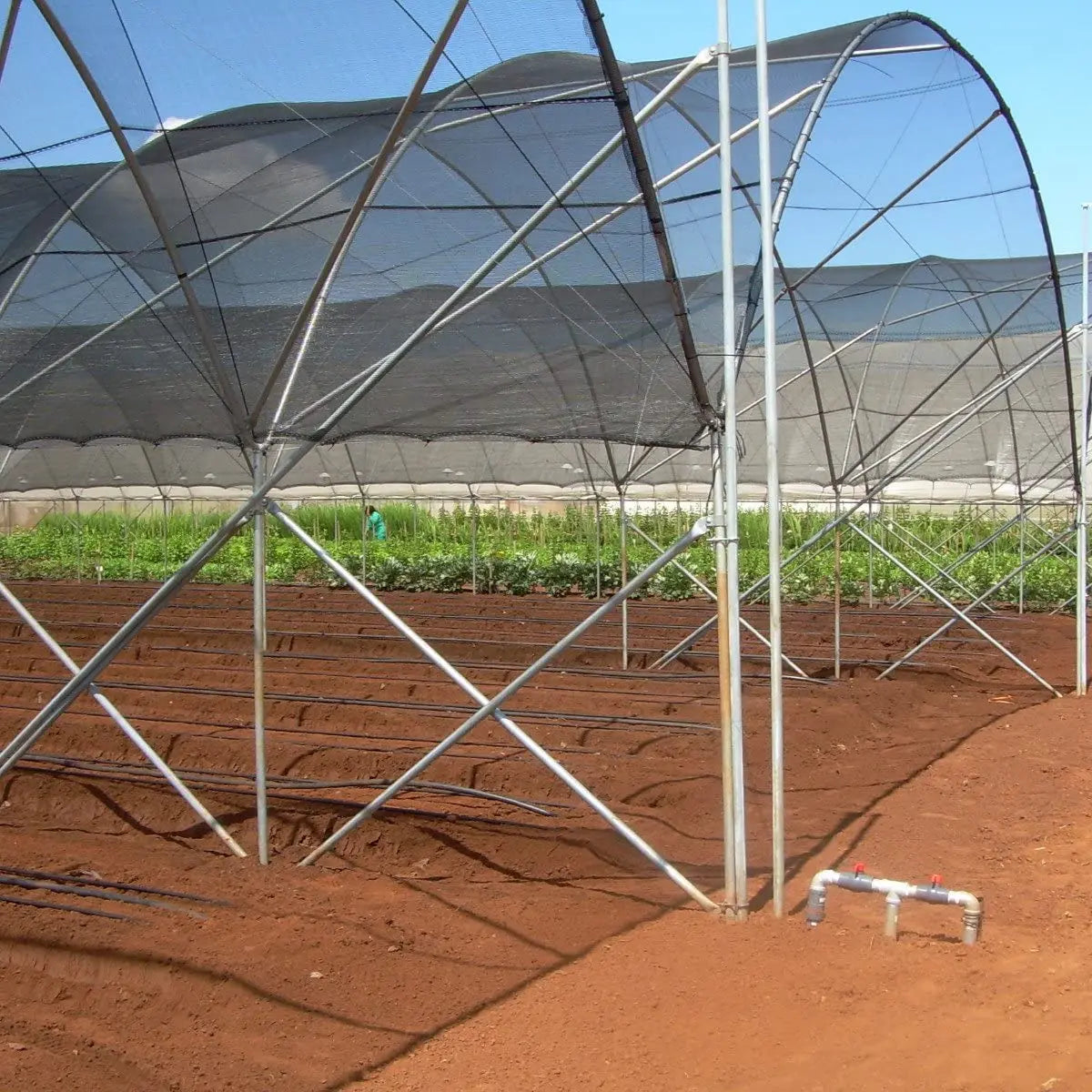 6.5 Ft x 20 Ft 50 Percent Sunblock Shade Cloth Cover with Clips for Plants in Black