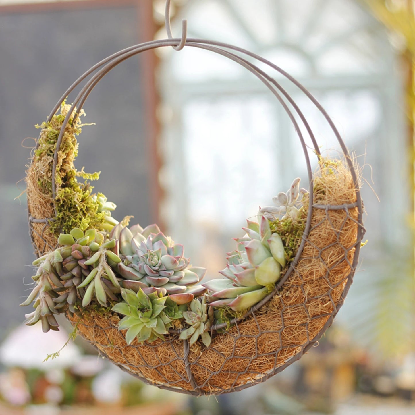 Rustic Iron Wire Wreath Frame for Succulent Hanging Planter