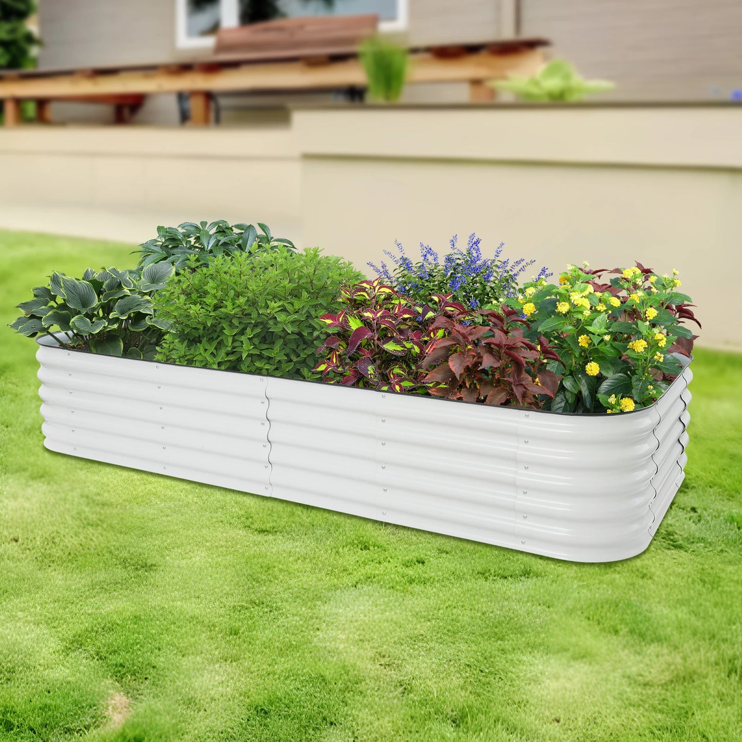 Raised Garden Bed Planter Box for Vegetables and Flowers in Premium Quality Steel
