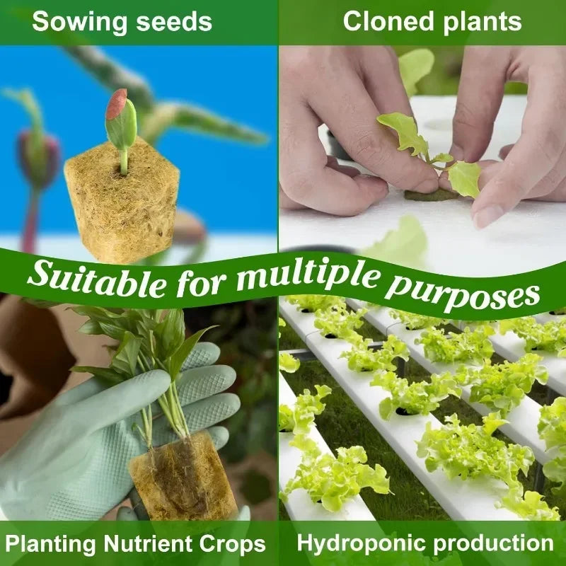 Sponge Block Hydroponic Grow Cubes for Plant Propagation