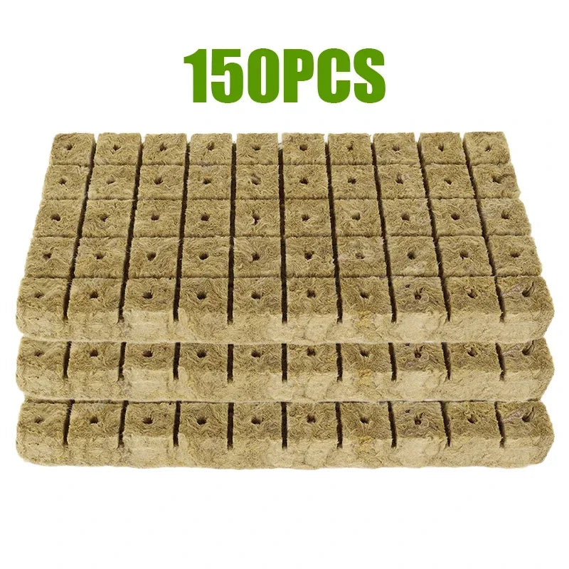 Sponge Block Hydroponic Grow Cubes for Plant Propagation