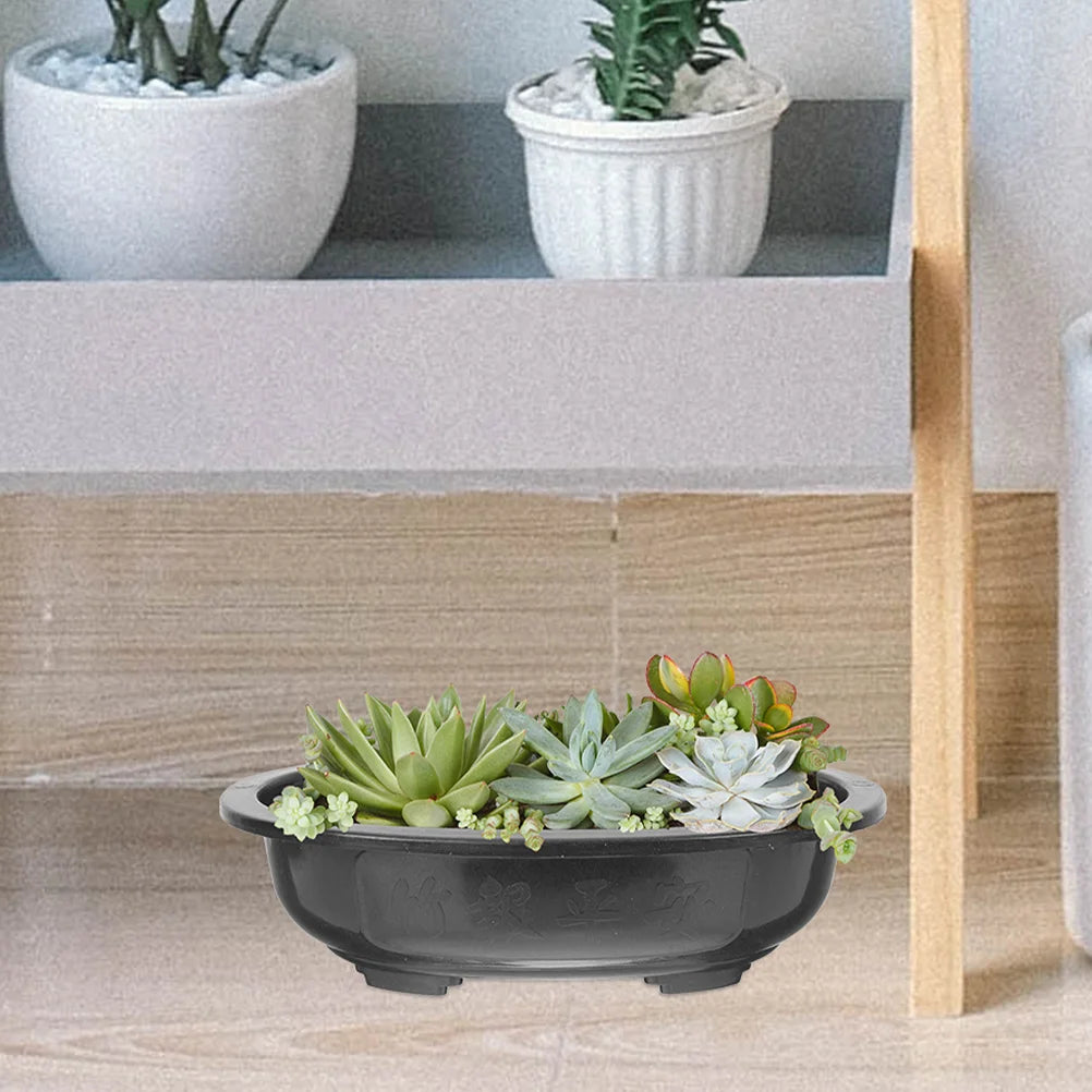 Choice Flowerpot Set Reusable Planter For Bonsai Orchids
