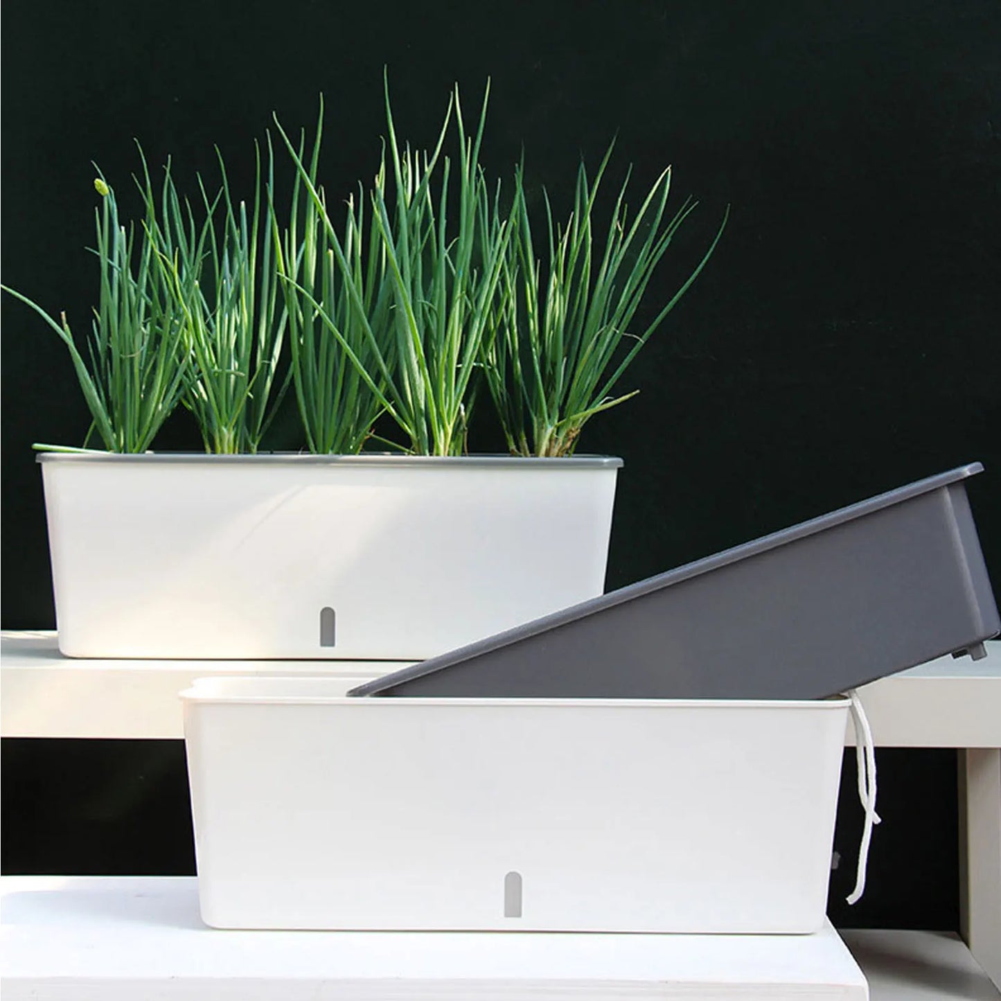 Self-Watering Planter Pots with Water Level Indicator for Plants