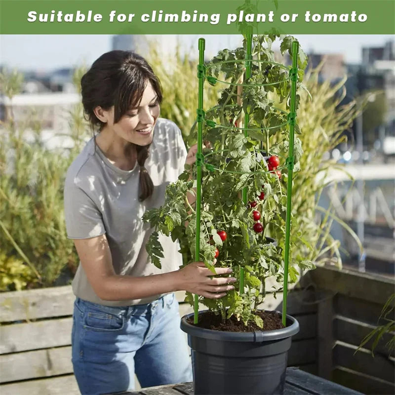 Choice Durable Climbing Vine Rack Plant Support Frame