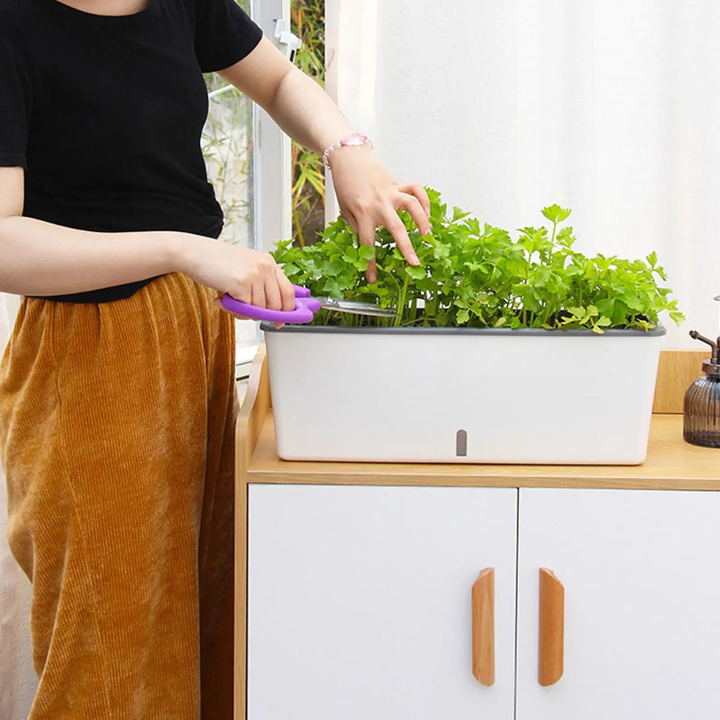 Self-Watering Planter Pots with Water Level Indicator for Plants