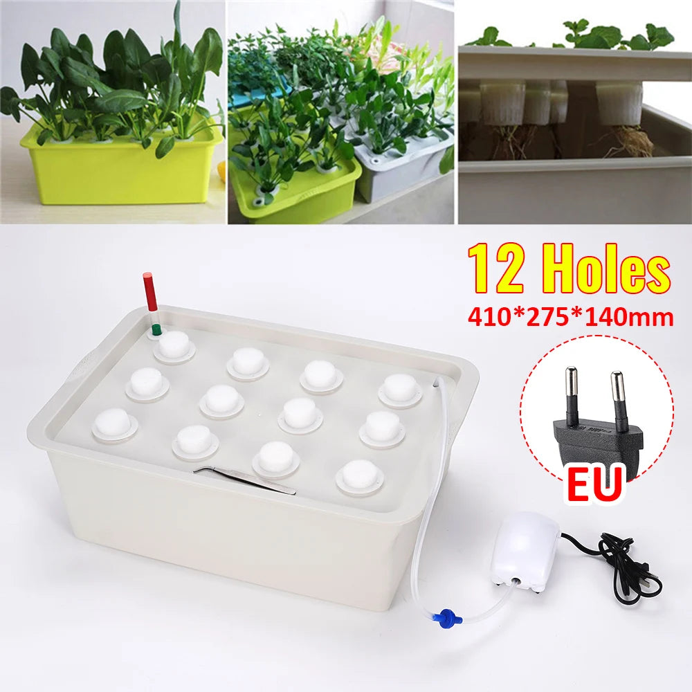 Hydroponic Grow Kit for Easy Vegetable Gardening and Cultivation