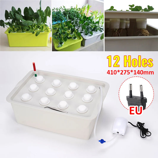 Hydroponic Grow Kit for Easy Vegetable Gardening and Cultivation