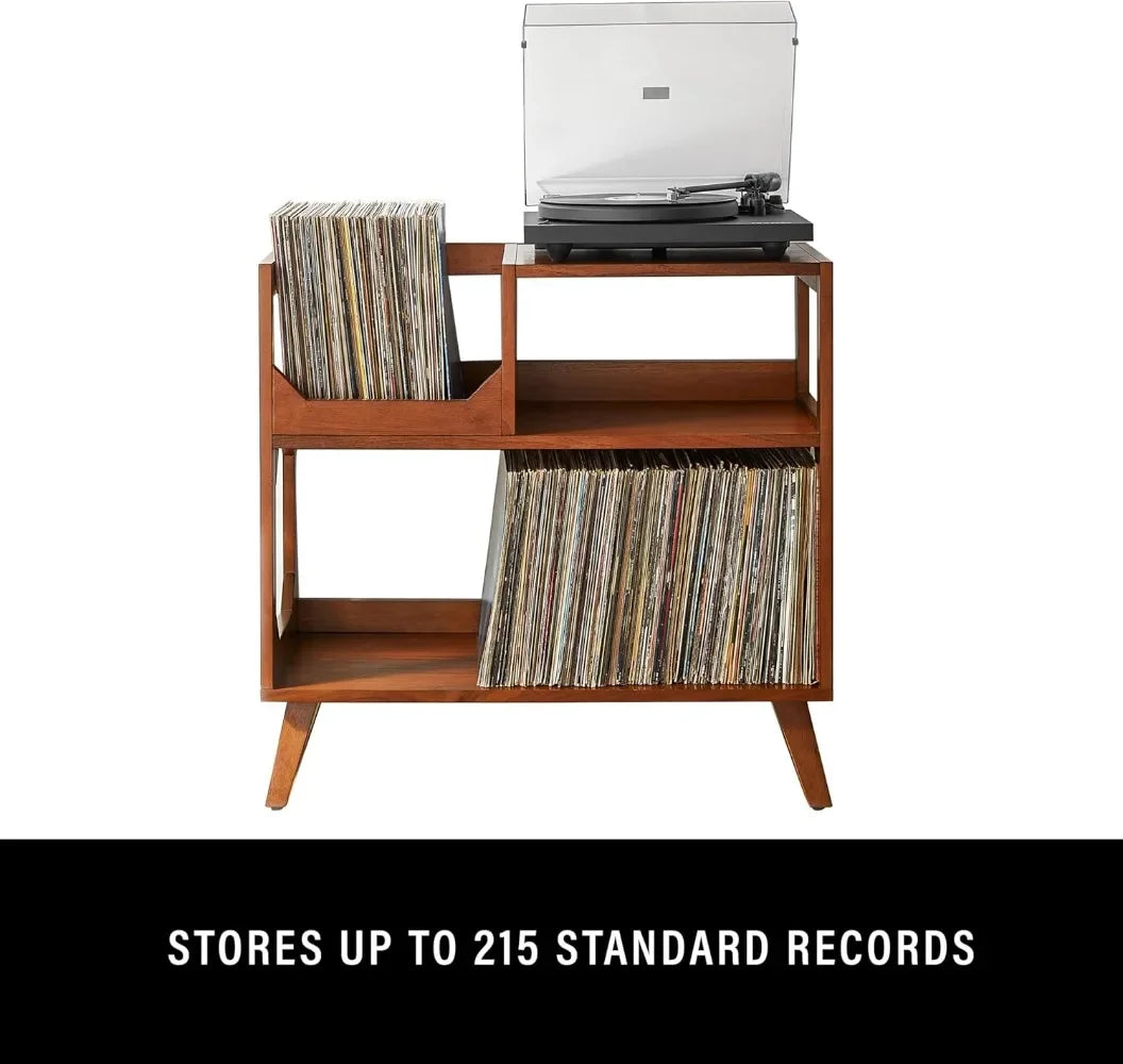 Asheville Mid-Century Modern Media Console for Vinyl Records