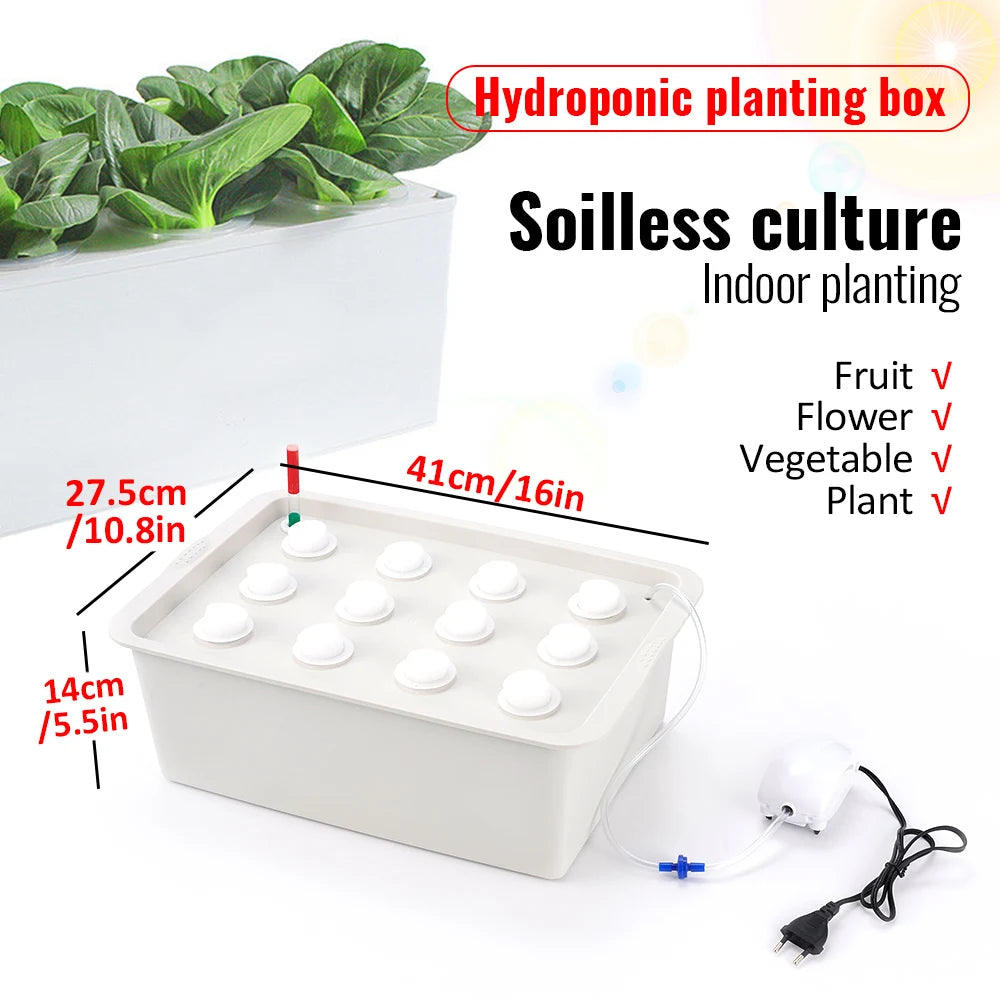 Hydroponic Grow Kit for Easy Vegetable Gardening and Cultivation